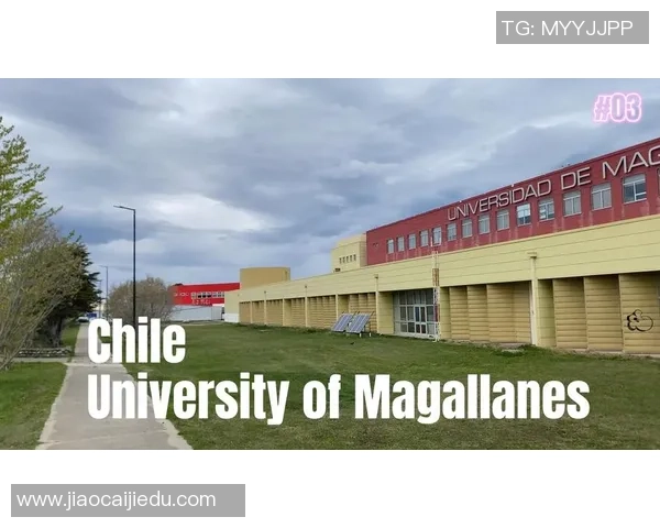 特木科与智利大学的较量：谁能在南美洲学术舞台上脱颖而出