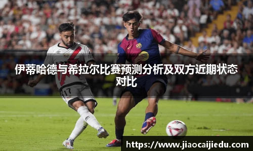3377体育官网